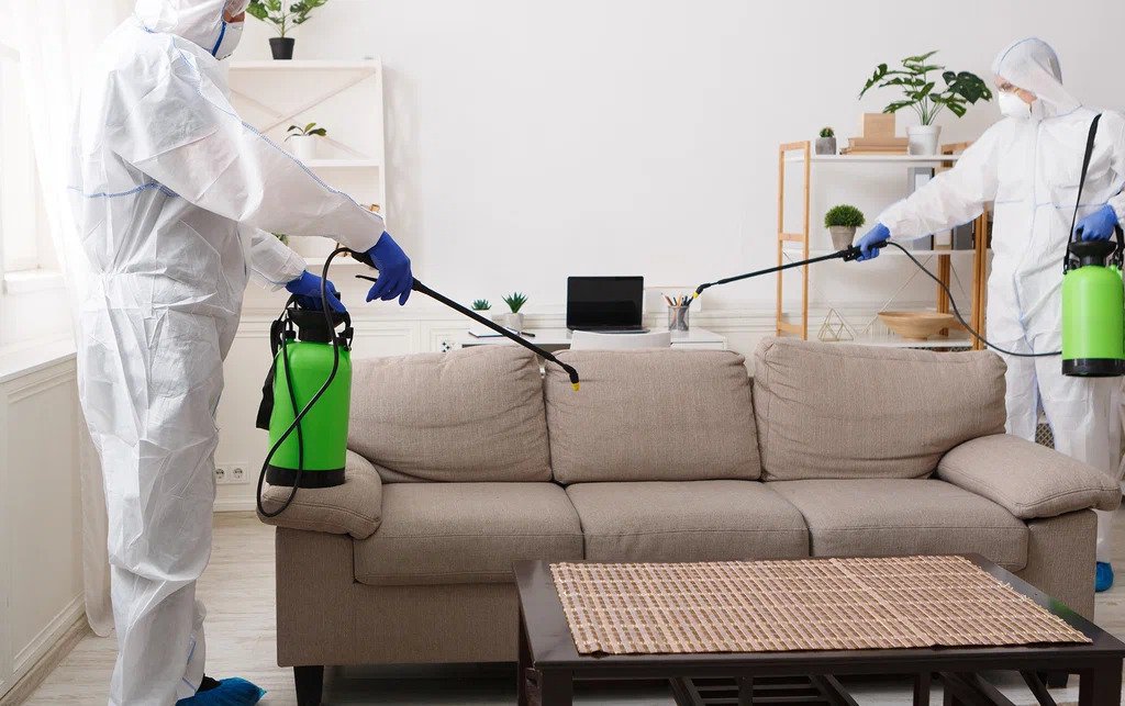 best pest control company in Melbourne